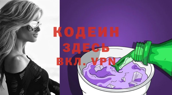 хмурый Верея